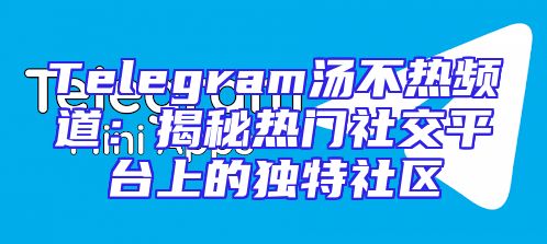 Telegram汤不热频道：揭秘热门社交平台上的独特社区