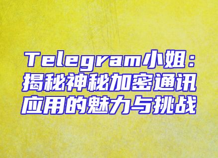 Telegram小姐：揭秘神秘加密通讯应用的魅力与挑战