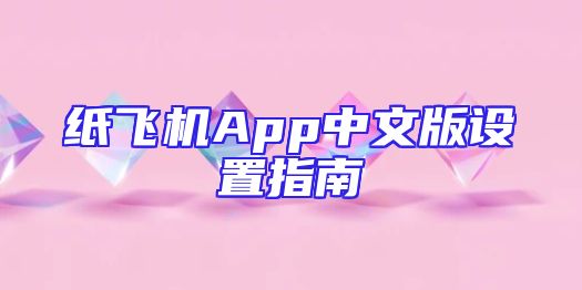 纸飞机App中文版设置指南