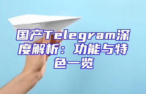 国产Telegram深度解析：功能与特色一览