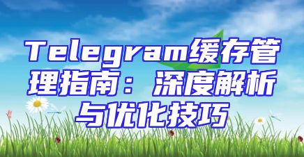 Telegram缓存管理指南：深度解析与优化技巧