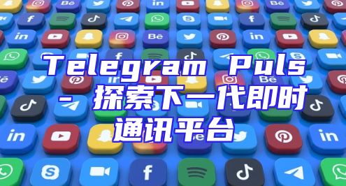 Telegram Puls - 探索下一代即时通讯平台