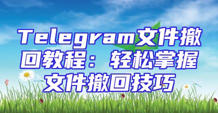 Telegram文件撤回教程：轻松掌握文件撤回技巧