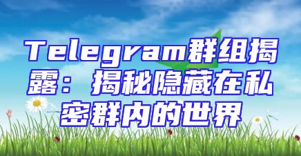 Telegram群组揭露：揭秘隐藏在私密群内的世界