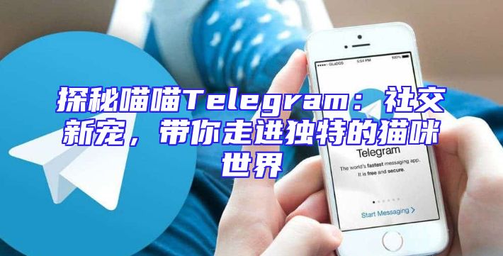 探秘喵喵Telegram：社交新宠，带你走进独特的猫咪世界