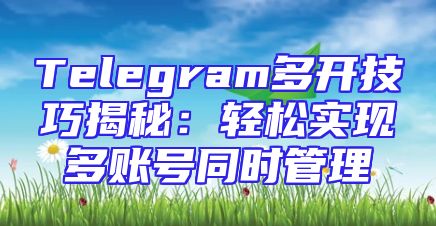 Telegram多开技巧揭秘：轻松实现多账号同时管理