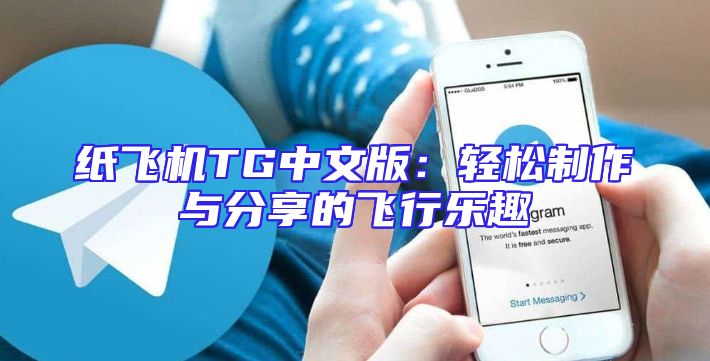 纸飞机TG中文版：轻松制作与分享的飞行乐趣