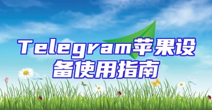 Telegram苹果设备使用指南