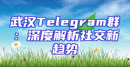 武汉Telegram群：深度解析社交新趋势
