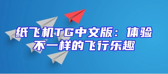 纸飞机TG中文版：体验不一样的飞行乐趣