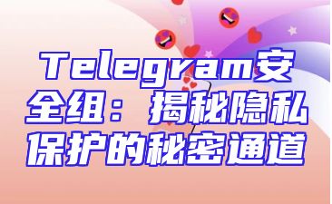 Telegram安全组：揭秘隐私保护的秘密通道