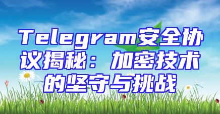 Telegram安全协议揭秘：加密技术的坚守与挑战