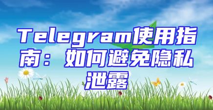 Telegram使用指南：如何避免隐私泄露