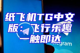 纸飞机TG中文版：飞行乐趣一触即达