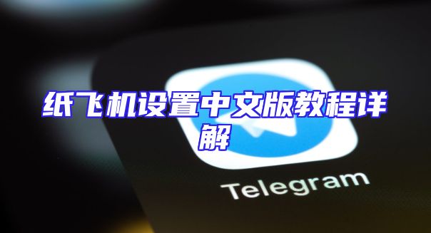 纸飞机设置中文版教程详解