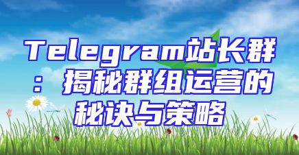 Telegram站长群：揭秘群组运营的秘诀与策略