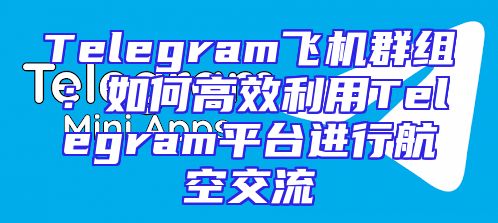 Telegram飞机群组：如何高效利用Telegram平台进行航空交流