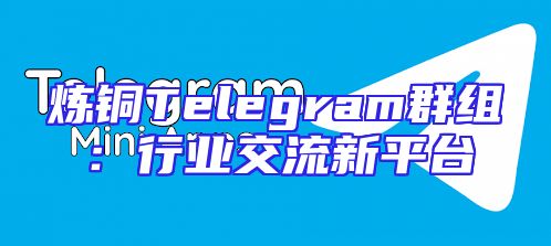 炼铜Telegram群组：行业交流新平台
