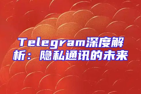 Telegram深度解析：隐私通讯的未来
