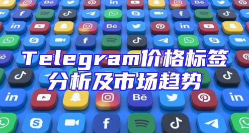 Telegram价格标签分析及市场趋势