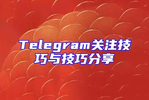 Telegram关注技巧与技巧分享