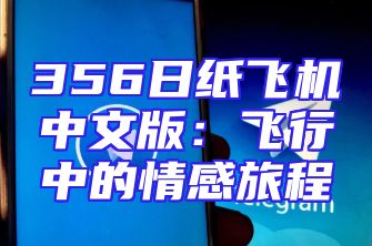 356日纸飞机中文版：飞行中的情感旅程