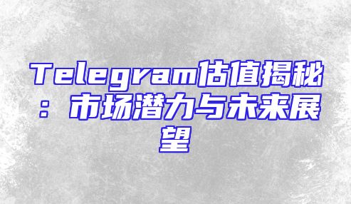 Telegram估值揭秘：市场潜力与未来展望
