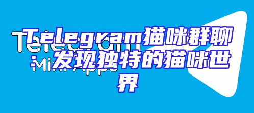 Telegram猫咪群聊：发现独特的猫咪世界