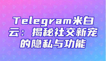 Telegram米白云：揭秘社交新宠的隐私与功能