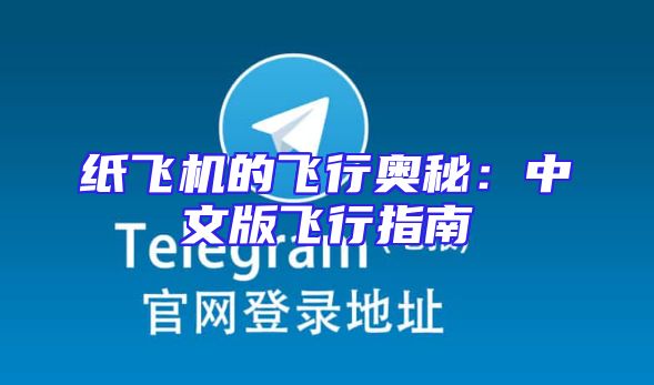 纸飞机的飞行奥秘：中文版飞行指南