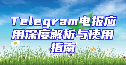 Telegram电报应用深度解析与使用指南