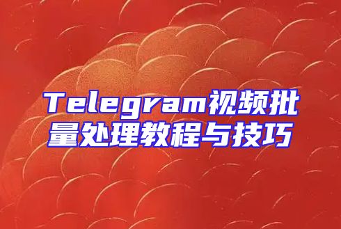 Telegram视频批量处理教程与技巧