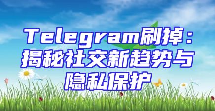 Telegram刷掉：揭秘社交新趋势与隐私保护