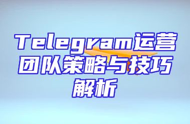 Telegram运营团队策略与技巧解析