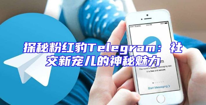 探秘粉红豹Telegram：社交新宠儿的神秘魅力
