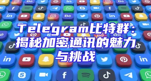 Telegram比特群：揭秘加密通讯的魅力与挑战