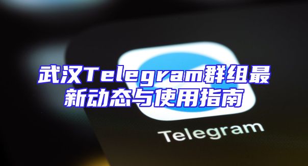 武汉Telegram群组最新动态与使用指南