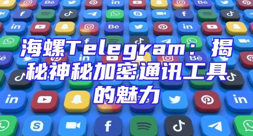 海螺Telegram：揭秘神秘加密通讯工具的魅力