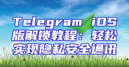 Telegram iOS版解锁教程：轻松实现隐私安全通讯