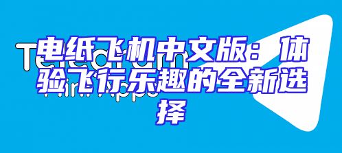 电纸飞机中文版：体验飞行乐趣的全新选择