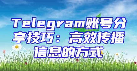 Telegram账号分享技巧：高效传播信息的方式