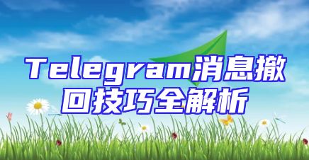 Telegram消息撤回技巧全解析