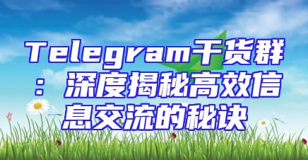 Telegram干货群：深度揭秘高效信息交流的秘诀