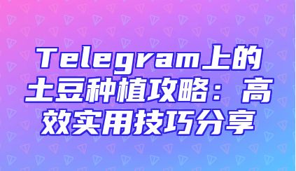 Telegram上的土豆种植攻略：高效实用技巧分享