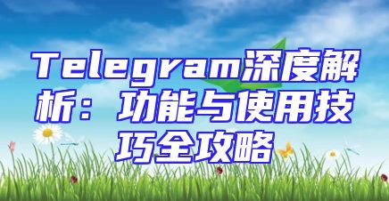 Telegram深度解析：功能与使用技巧全攻略