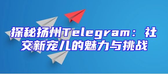 探秘扬州Telegram：社交新宠儿的魅力与挑战
