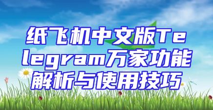 纸飞机中文版Telegram万家功能解析与使用技巧