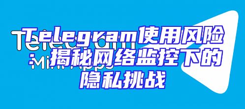 Telegram使用风险：揭秘网络监控下的隐私挑战