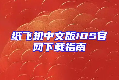 纸飞机中文版iOS官网下载指南