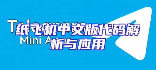 纸飞机中文版代码解析与应用